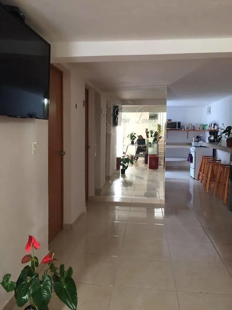 Casa Habitacional Laurel Guest House Cancun